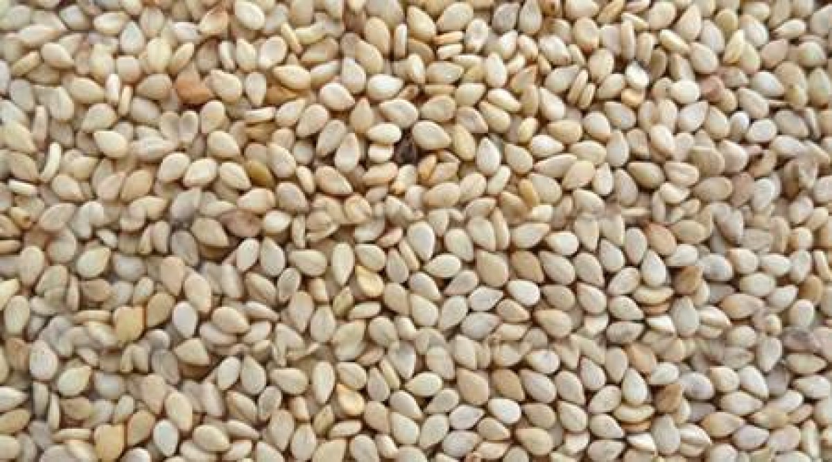 Ugandan simsim from Uganda